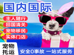 肥东白龙机场空运国际宠物托运 【国
